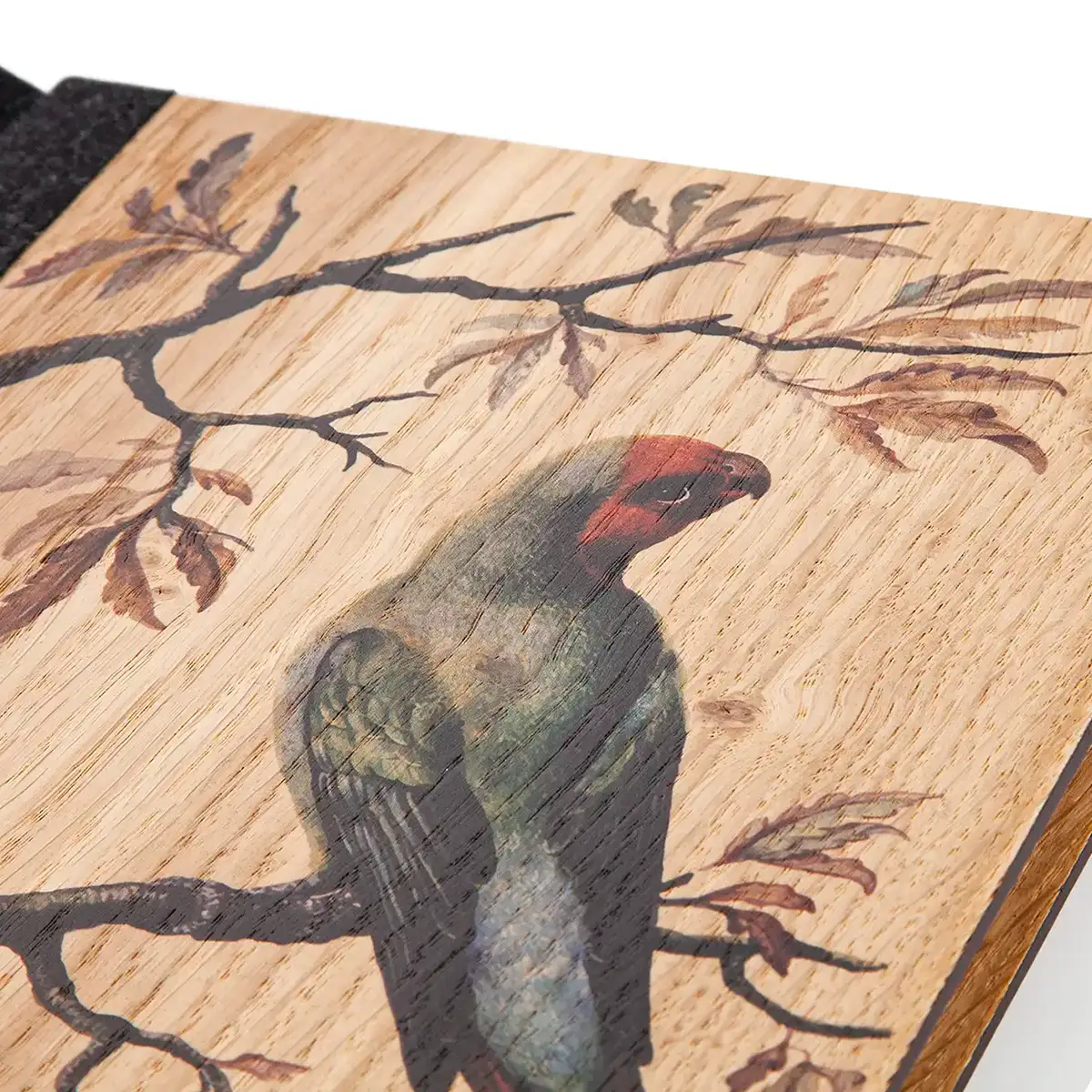UV-Druck mit Papagei-Illustration auf Holz